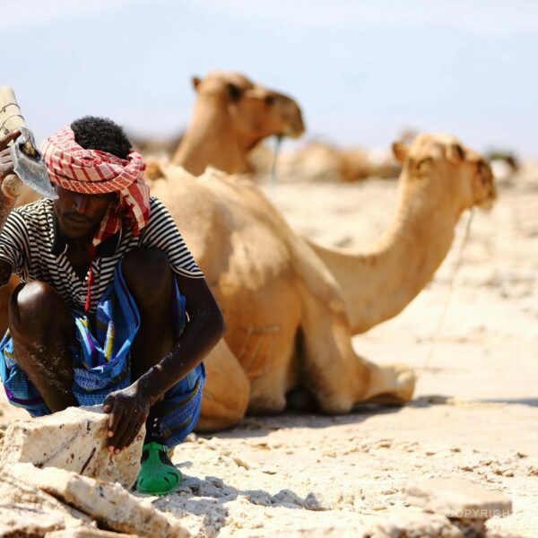 Etiopie , Danakilská proláklina, těžba soli