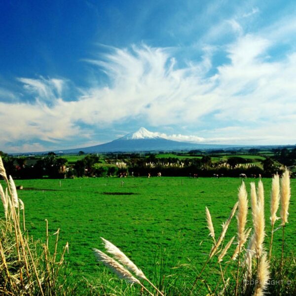 Mt. Taranaki