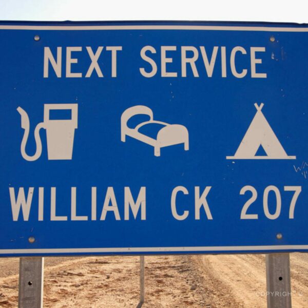 Na cestě Simpsonovou pouští