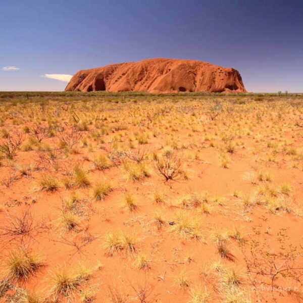 Uluru