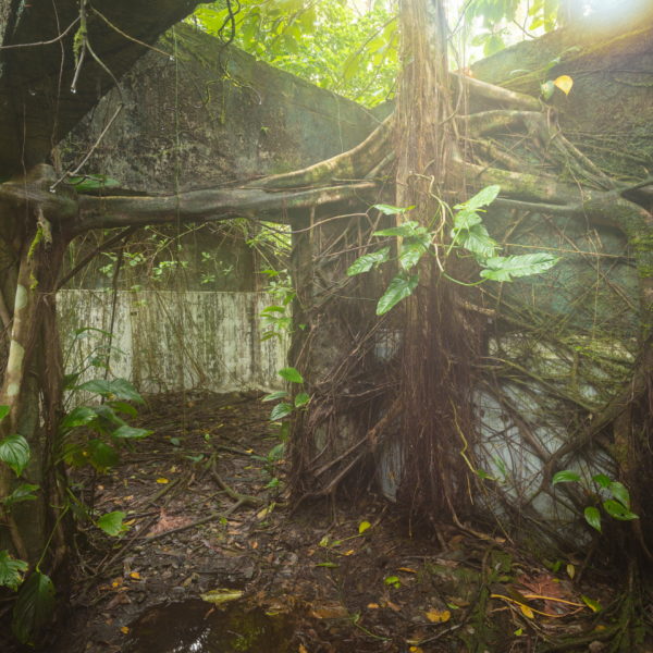 24 Trosky věznice na ostrově Gorgona